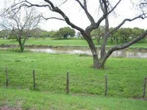 Hill Country View